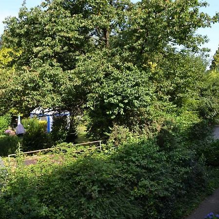 4 Sterne Ferienwohnungen Lavendel Brueggen Брюгген Экстерьер фото